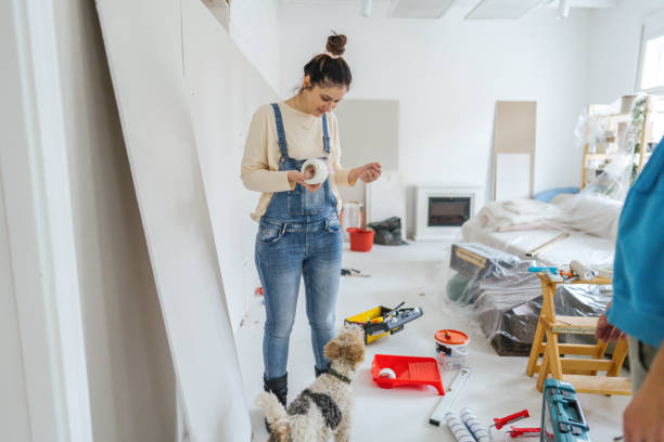 Best Ceiling Drywall Installation  in USA